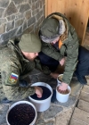 Ветераны Росгвардии и школьники подготовили семенной материал для будущего кедрового питомника в Челябинской области