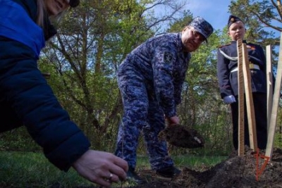 Ветераны челябинского СОБР организовали высадку дубов